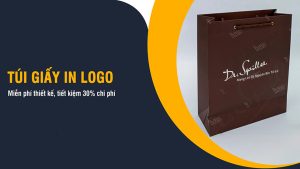 In Túi Giấy Có Logo thương hiệu