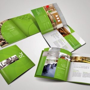 in catalogue tại Lạng Sơn