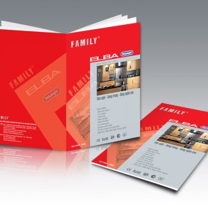 in tài liệu hội thảo tại Hà nội