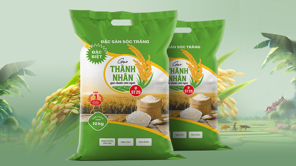 in Bao Bì đựng Gạo